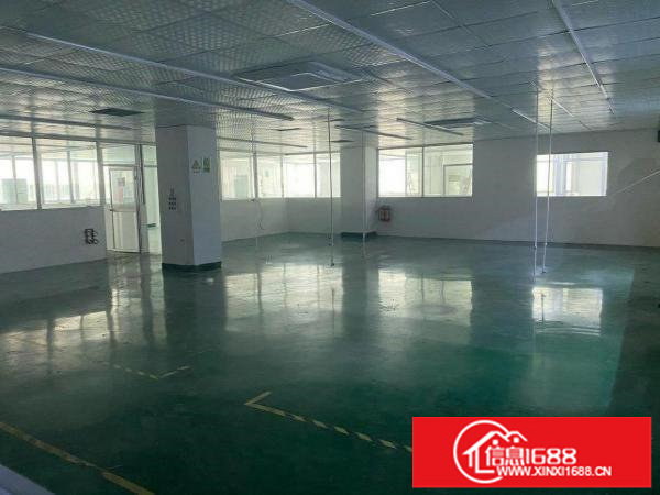 横岗原房东无公摊带装修二楼1300平方现成无尘车间