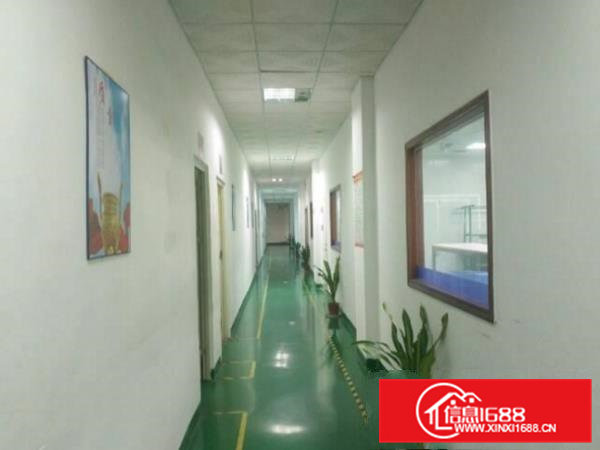 凤岗竹塘新出原房东整层1900平方带豪华装修厂房