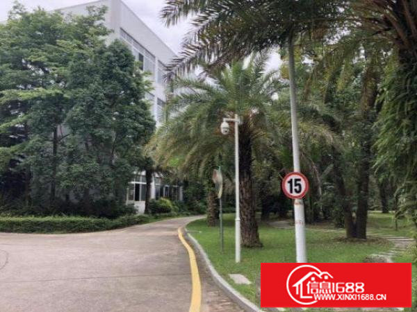 南联新出整层1800平方厂房招租精装修办公室和地坪漆