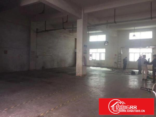 坂田五和地铁口新出1楼500平方招租