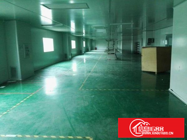 出租惠阳新墟二楼1480平方带吊顶地坪漆办公水电