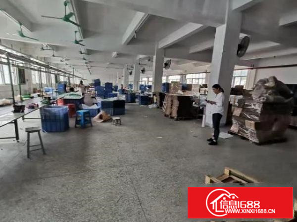 清溪三中新出独院厂房2层3000平出租500平起分租