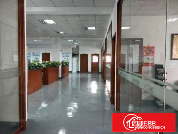 有证，不拆迁，容桂独栋一楼800方标准厂房，形象好