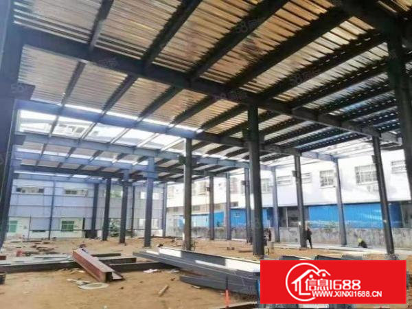 桥头镇全新独门独院厂房3000平12米高工业用地