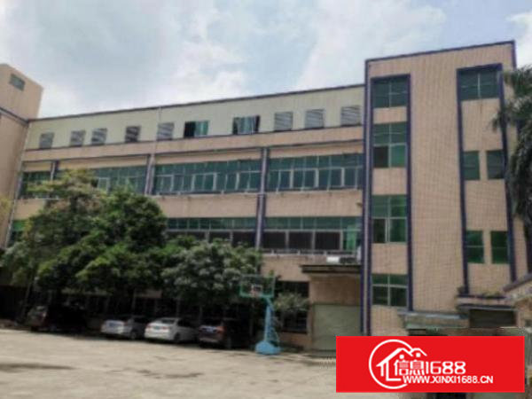 高埗花园式厂房分租一楼800平方,交通方便水电线路齐全