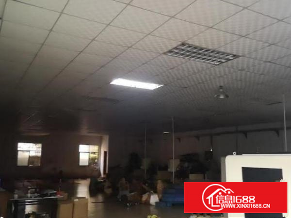 新出厂房石碣标准厂房一楼，有宿舍饭堂