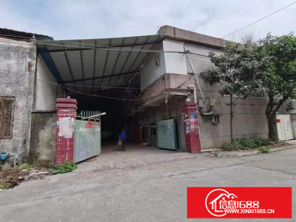 颜屋村实业客转租单一层铁皮加宿舍一楼共1000方厂房招租