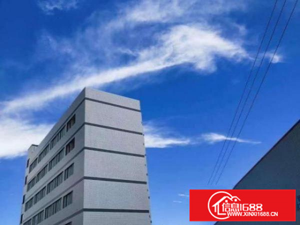 佛山罗村佛山西站高标准厂房4万平方招租(可做织厂),可分租