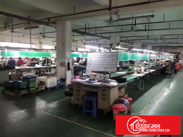 高埗镇新出独门独院大型工业园区招租，厂房可以整租，分租