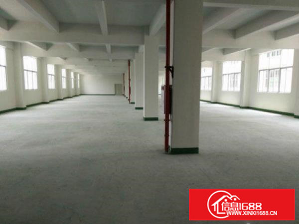 企石镇花园式独院厂房3000平米，可分租