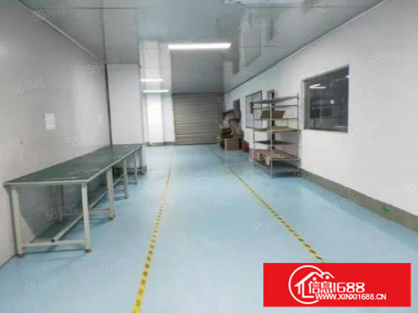 塘厦科苑城刚出标准厂房二楼无尘车间2700平方，大小可以分租