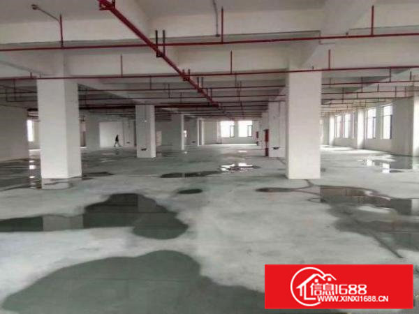 高埗工业区标准一楼1000平方招租配电按需消防水电齐全