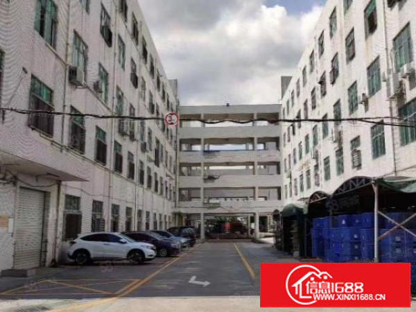 六约独门独院厂房一楼600平报价25元