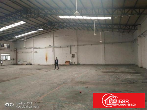 出租企石镇1500平方钢构单一层