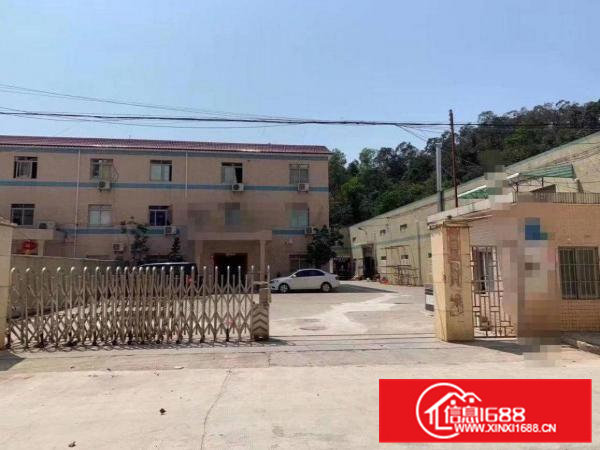 原房东独院单一层厂房出租420025002起分租