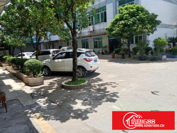 原房东独门独院标准厂房一楼证件齐全能办环评空地超大