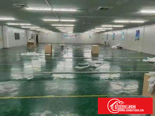 桥头镇新出无尘车间1200平方租金便宜