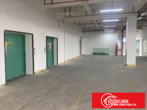 坪山坑梓沙沙田原房东红本无公摊厂房出租216平起包隔好墙