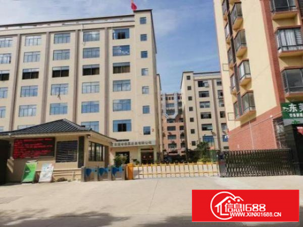 出租清溪镇独门独院厂房一楼