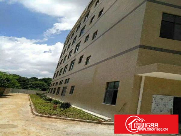 园洲全新重工业厂房出租，15层共5800m,包办环评。