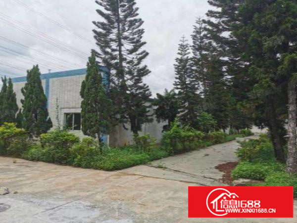 寮步莞樟路独院厂房出租独立办公楼花园式空地大交通方便