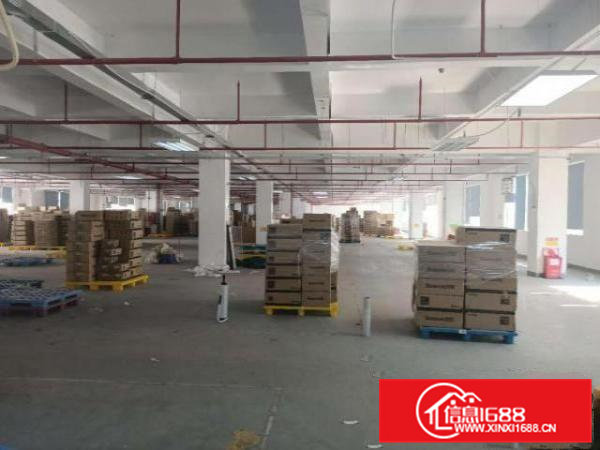 凤岗浸校塘工业园仓库厂房出租楼上整层3300平米可以分租