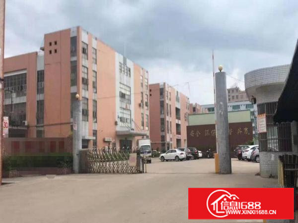 大岭山村委大型工业园3楼整层厂房4800平方带豪华装修出租