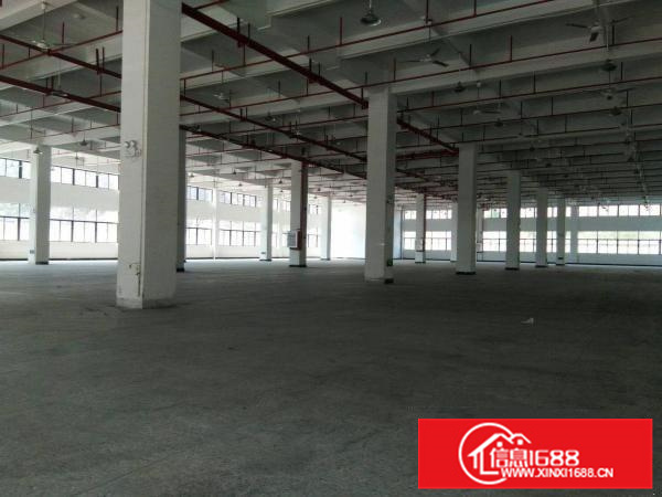 镇隆万里工业区一楼带装修标准厂房2500平招租