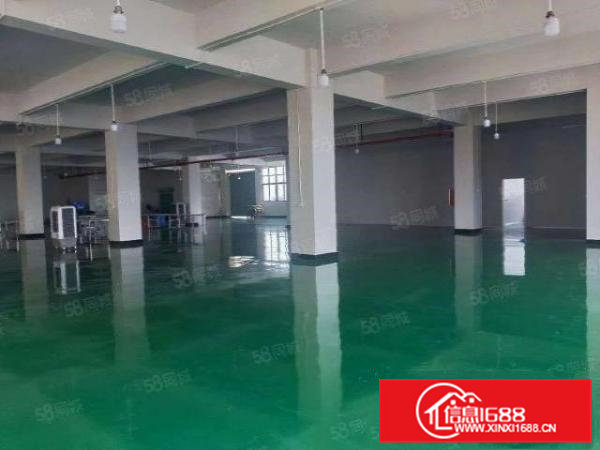 企石镇新出原房东超靓标准厂房实量面积5500平，超大空地