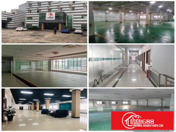 大岭山原房东精装修厂房并有无尘车间