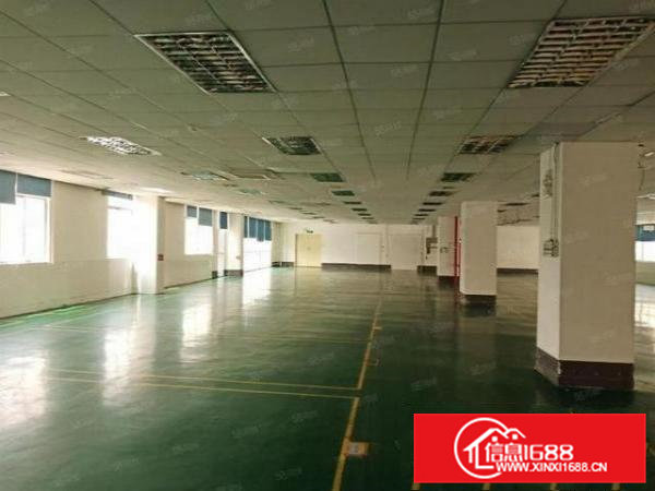 清溪大利村860平大型园区厂房出租配套齐全