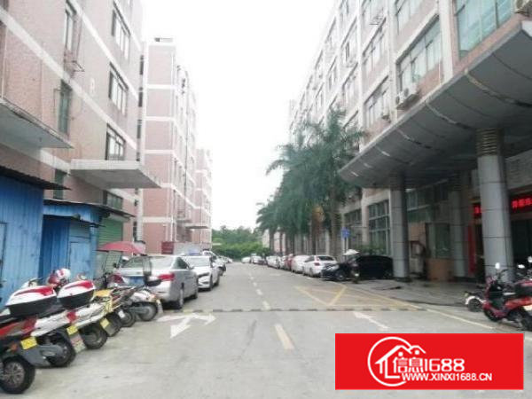 西乡，鹤洲，洲石路边，大型工业园，650平带精装修厂房出租