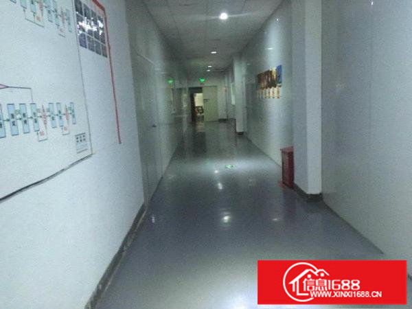 西乡簕竹角1500平整层出租价格23