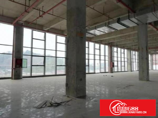 凤岗爱车总动员大面积厂房、仓储可电商可办公带装修