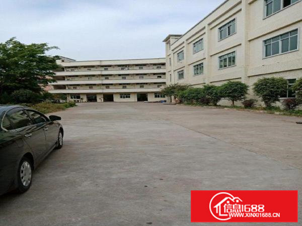 标准独门独院厂房招租