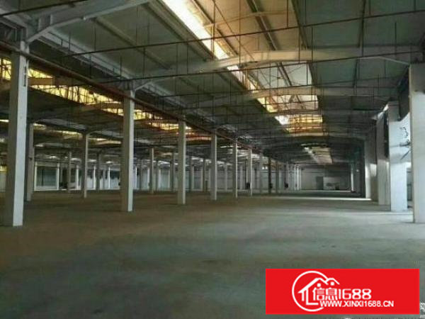 坪山大型物流园17000平，可分租