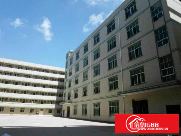 沙井步涌楼上精装800平厂房出租