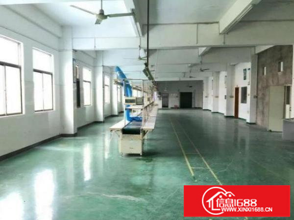 安良3楼厂房900平，可分租，原房东有吊顶地坪漆