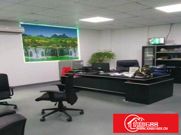 坪山金沙现房一一二楼800平整层工业厂房出租送全新装修