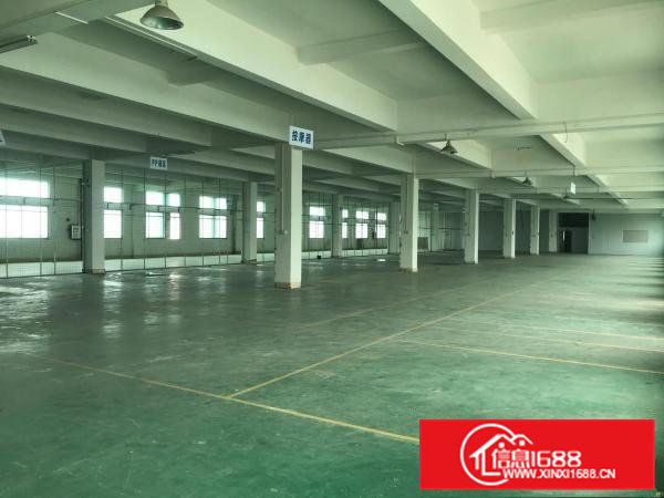 东莞企石原房东红本标准6000平方6米高全新厂房出租可做污染