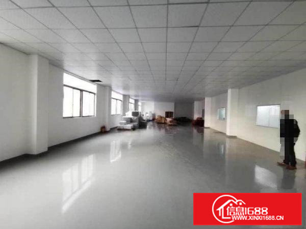 清溪大利小型电子组装加工厂房出租600平也可做电商贸易