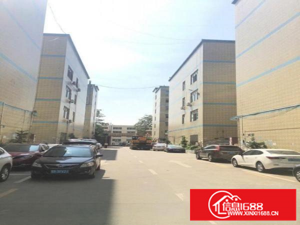 坂坂田高新产业园1楼1200米可以分租