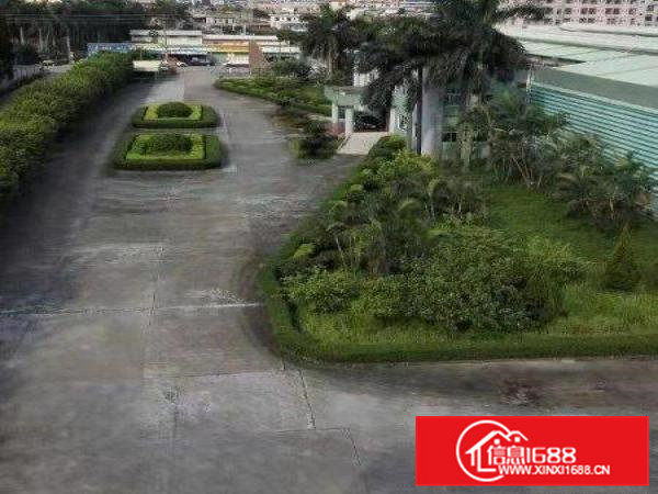 新单一层钢构独院有现成蒸汽天然气到门口可做珍珠棉行业