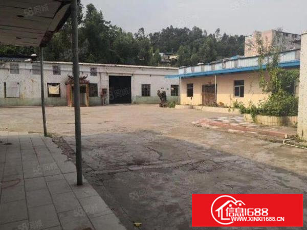 龙岗中心城龙东村委钢构厂房1000平滴水7米报价25元