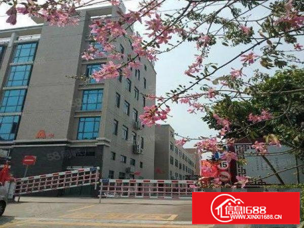 连平新空出工业园标准楼上3000平厂房出租带消防可过环坪