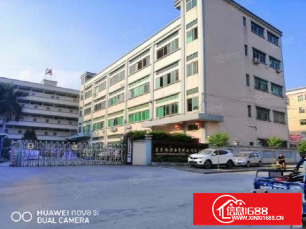 大朗大井头工业区新出原房东独院标准厂房4800平出租，经典房