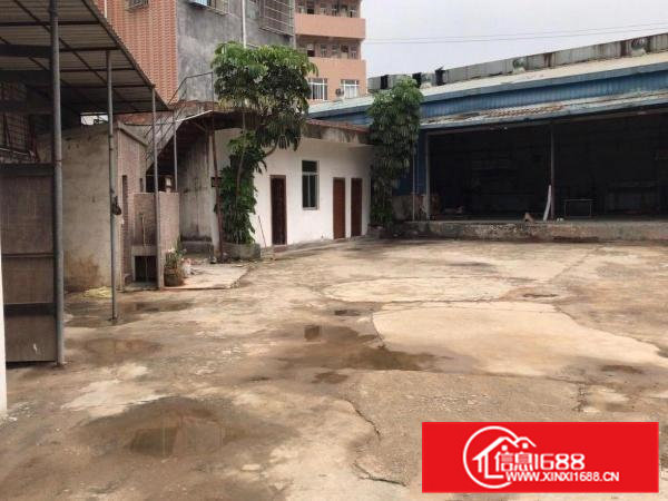 黄江镇星光村新出原房东钢构单一层1500平方