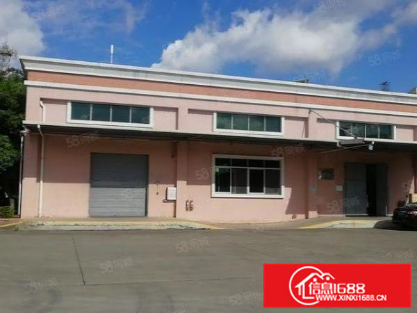 茶山工业园墙砖到顶单一层1280平方出租