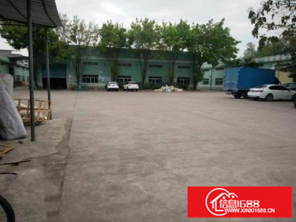 坪山新出单一层钢构3500平滴水7米便宜租了