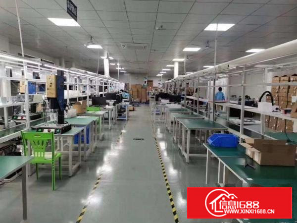 坂田杨美地铁口新装修办公室1530平方招租（可分租）